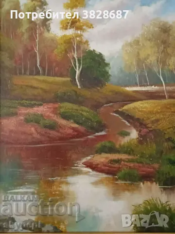 ПЕЙЗАЖ, снимка 2 - Картини - 48247449