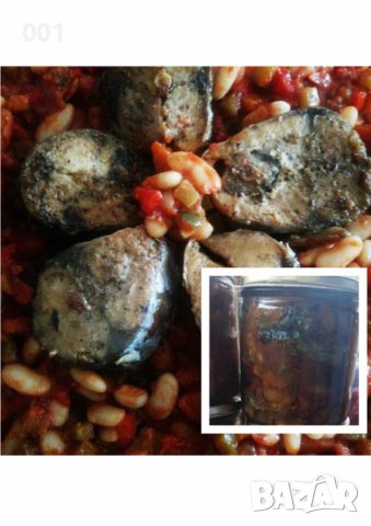 Ропотамо със скумрия