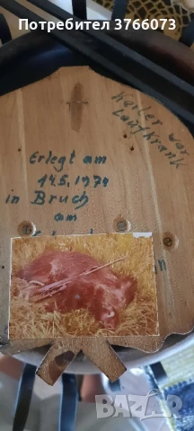 Трофейни глиги, снимка 2 - Други ценни предмети - 50465952