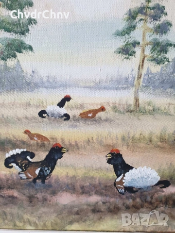 Ritwall 67х57см/стара шведска картина масло върху платно/горски пейзаж-фазани/дървена рамка, снимка 4 - Картини - 51454543