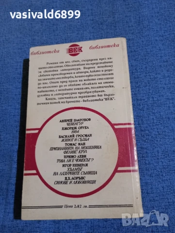 Андрей Платонов - Чевенгур , снимка 3 - Художествена литература - 50589679