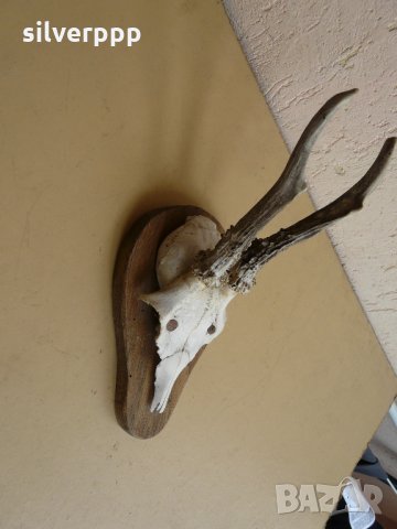  Малко немско трофейче - 3 , снимка 2 - Антикварни и старинни предмети - 33176011