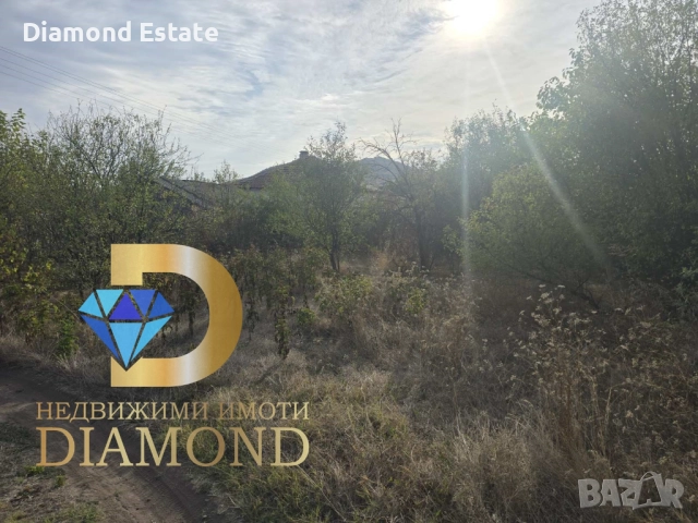 Едноетажна къща в село Сталево, общ. Димитровград, снимка 4 - Къщи - 51873382