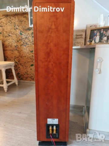 Аудиофилски тонколони Canton Ergo RC-S – Като нови, Първи собственик, Real Wood, снимка 5 - Тонколони - 53595589