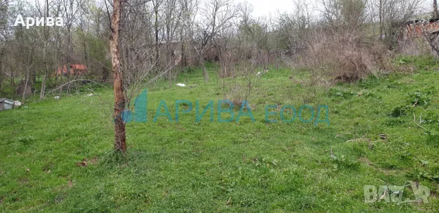 Парцел в регулация малка къща в с. Тракиец, община Хасково, снимка 3 - Парцели - 49654353