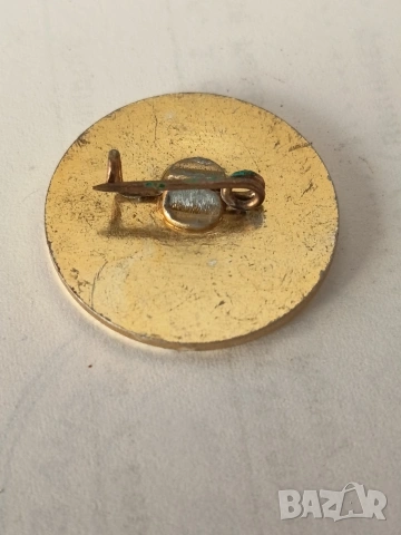 Значка, снимка 2 - Други - 53473568