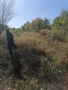 Парцел с. Панчарево, София, снимка 18