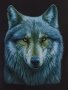 Нов мъжки суичър с дигитален печат Вълк, Серия вълци, снимка 14