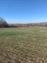 Продавам 1/3 идеални части от нива в с. Мулдава м. СТАРАТА КОЛИБА, снимка 5