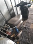 Скутер Piaggio Liberty, снимка 2