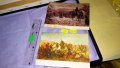 ДВЕ СТАРИ ПОЩЕНСКИ КАРТИЧКИ БЪЛГАРИЯ ТЕМА ИЗОБРАЗИТЕЛНО ИЗКУСТВО ИСТОРИЧЕСКИ КАРТИНИ 33048, снимка 1