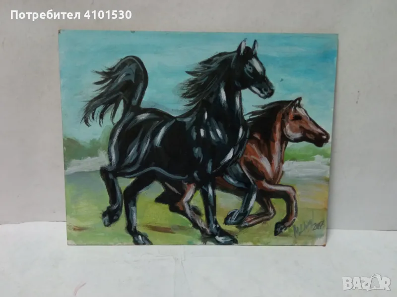 Два коня, снимка 1