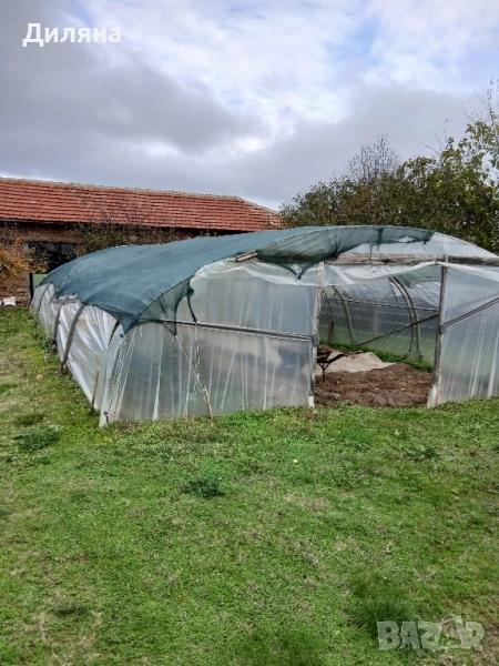 оранжерия, снимка 1