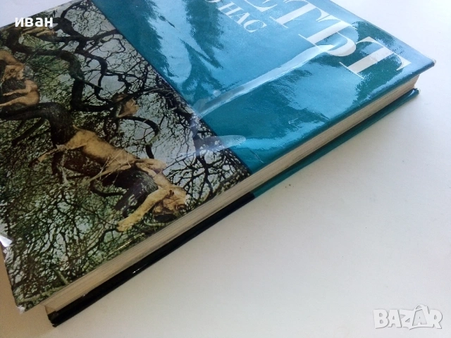 Картинна енциклопедия за юноши "Светът около нас - Книга 2"- 1974г., снимка 12 - Енциклопедии, справочници - 53383480