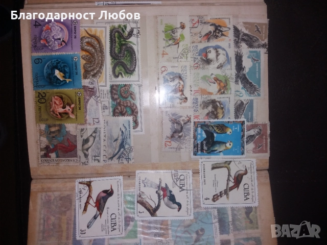 Античен класьор с няколко колекции стари марки, снимка 15 - Филателия - 52427543