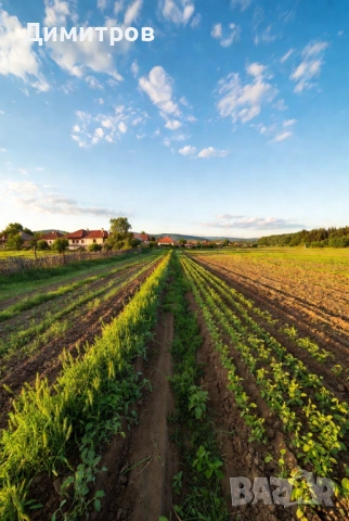 Продавам поземлен имот в землището на с. Мусачево, град София 13.1 дка на 600м от потбалкански път