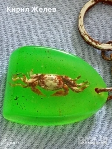 Ключодържател хербарий Рак много красив интересен модел 31428, снимка 2 - Други - 51119389