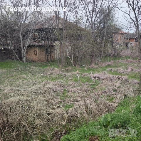 Продавам имот в село Винарово (Видинско, снимка 3 - Къщи - 52866848