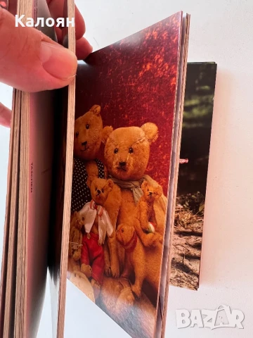 Пощенски картички 30 броя с мечета в албумче издание на TASCHEN, снимка 4 - Колекции - 50697972