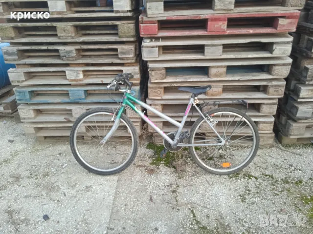 колело 24, снимка 7 - Велосипеди - 32688388