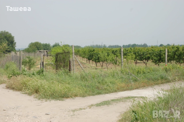 Отдавам овощна градина дългосрочно, снимка 2 - Земеделска земя - 52559194