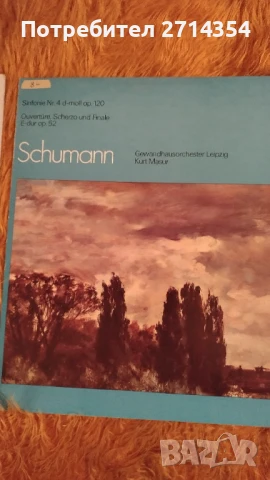 Плочи класическа музика , снимка 5 - Грамофонни плочи - 50461925