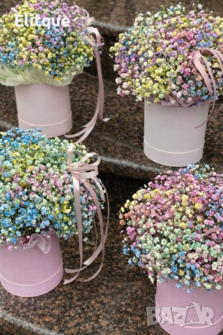 цветна кутия с гипсофил