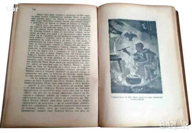 Продавам 4 редки антикварни книги „Майн Рид“, изд. Хемус (1920–1935г.), снимка 2 - Антикварни и старинни предмети - 53053688