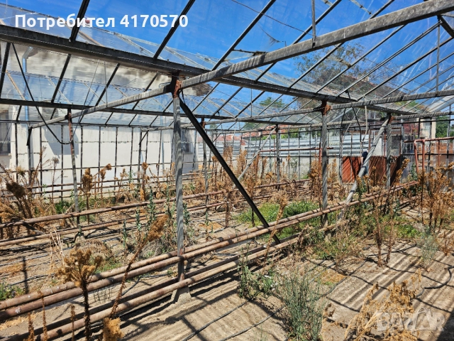 Продава се стъклена оранжерия, снимка 15 - Оранжерии - 51642468