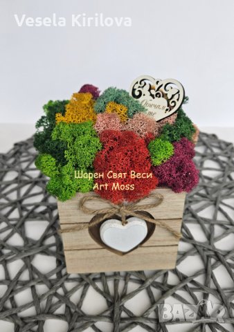 кашпа Сърце със Скандинавски мъх, снимка 1