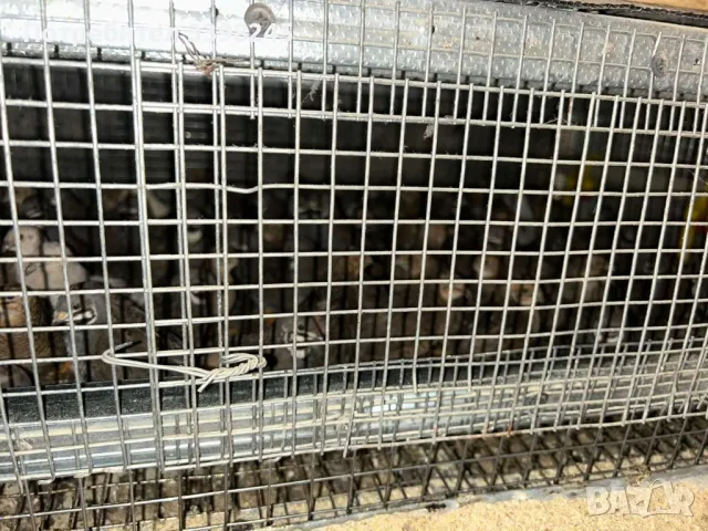 Продавам пътпъдъци, снимка 3 - други­ - 48653462