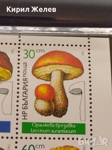 Пощенски марки чиста комплектна серия ГЪБИ поща НРБЪЛГАРИЯ за КОЛЕКЦИОНЕРИ 46564, снимка 4 - Филателия - 47322496