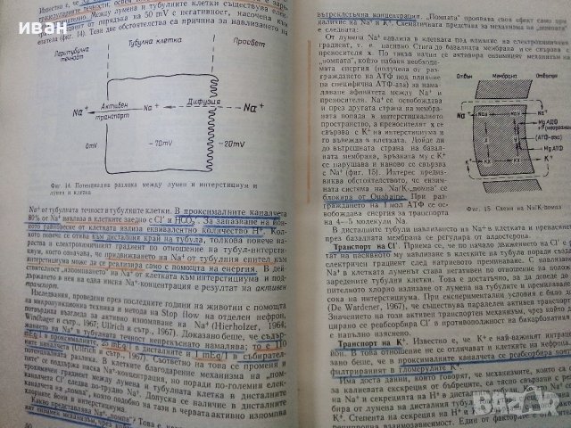 Болести на бъбреците - 1970г,, снимка 4 - Специализирана литература - 38717972