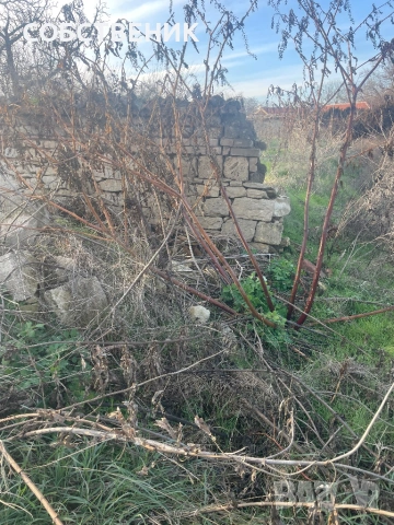 Продава ПАРЦЕЛИ 24000 с. Крушуна, област Ловеч, снимка 14 - Парцели - 53291503