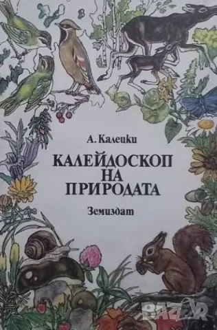 Калейдоскоп на природата