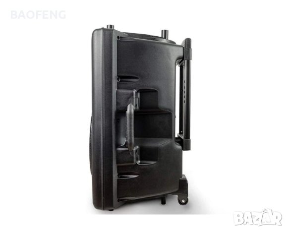 *Безплатна доставка Караоке Колона 15 инча Eurolive bt515d 3000w еквалайзер 2 микроф ,акумулатор, снимка 6 - Тонколони - 37644921