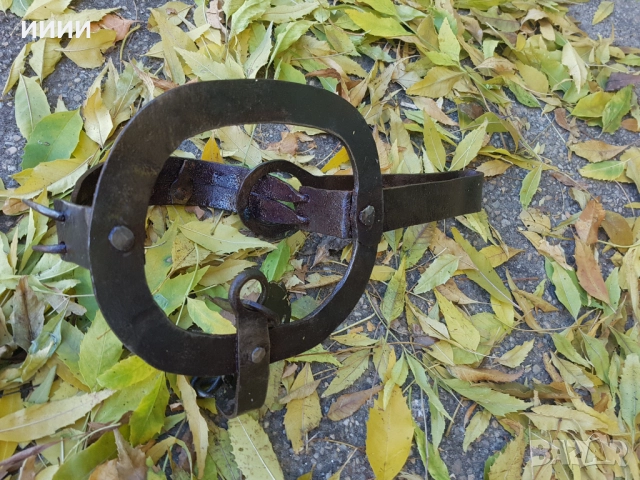 Голям стъпков капан със зъби 2, снимка 2 - Антикварни и старинни предмети - 52884693