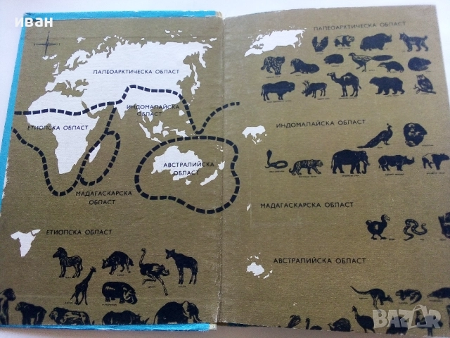 Зоология за 7.клас - Г.Паспалиев,А.Захариева,П.Козлева - 1968г., снимка 2 - Учебници, учебни тетрадки - 52403268