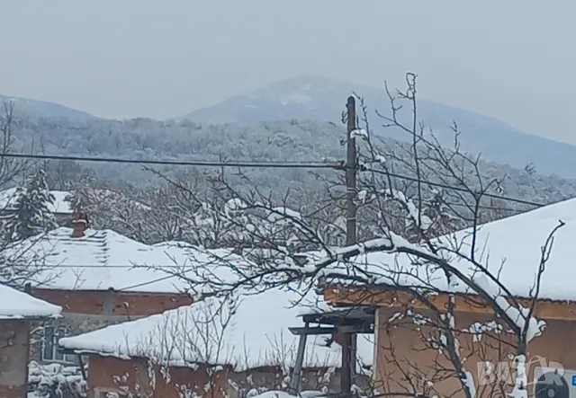 От собственик 2 парцела с ремонтирана къща!, снимка 6 - Къщи - 49743685