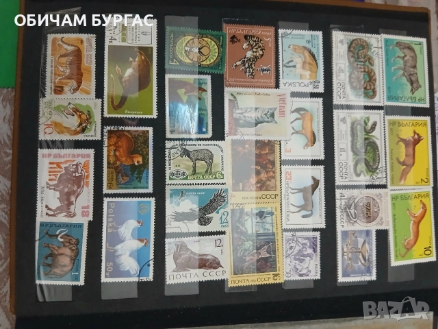 ПРОДАВАМ ПОЩЕНСКИ МАРКИ ОТ 80-те и 90-те години, снимка 5 - Филателия - 53261529