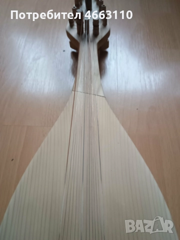 Професионална майсторска гъдулка , снимка 3 - Струнни инструменти - 52571535