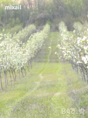 Продава 200 декара земеделска земя, снимка 3 - Земеделска земя - 20856473