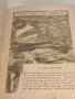 Стара библия с твърди корици на английски език   2/5, снимка 4