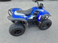 атв Aeon Cobra 180 atv, снимка 6