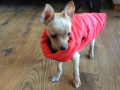 НОВ топъл червен зимен елек / елече / грейка за куче от Италия S, M и L размер, снимка 2