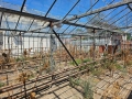 Продава се стъклена оранжерия, снимка 15