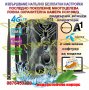 Ловна камера Suntek HC-810M/G, Фото капан, FULL HD,MMS EMAIL дисплей, нощно виждане, водоустойчива, снимка 4
