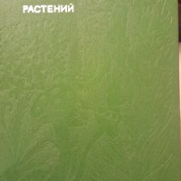 В света на растенията на руски език с цветни изображения, снимка 2 - Специализирана литература - 43899413
