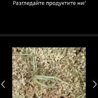 Сушен цвят от черен бъз, dried elderflowers, снимка 1 - Домашни продукти - 43640850