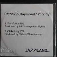 СД -PATRICK & RAYMOND 12" VINYL, снимка 1 - CD дискове - 27701681